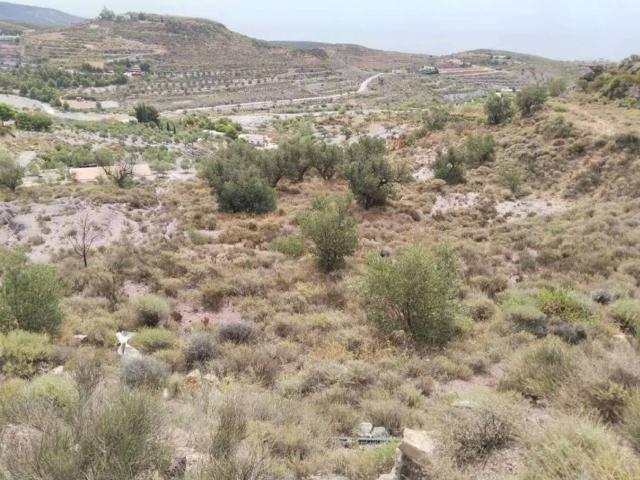 Terreno en venta en Felix, Andalucía
