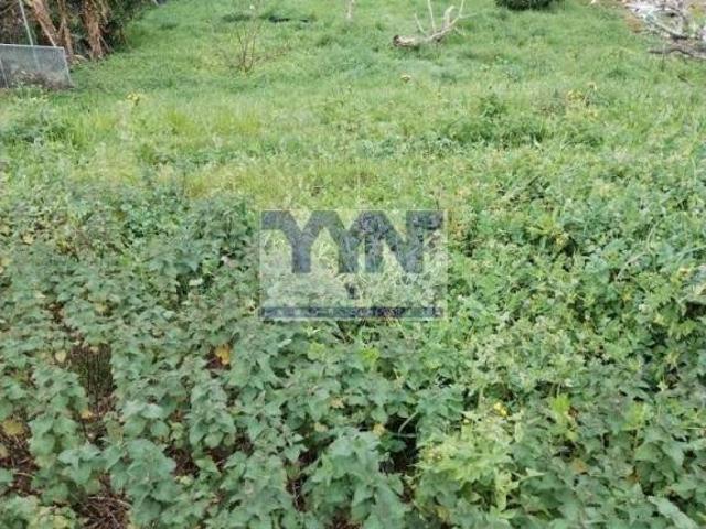 Terreno en venta en Ferrol, Galicia