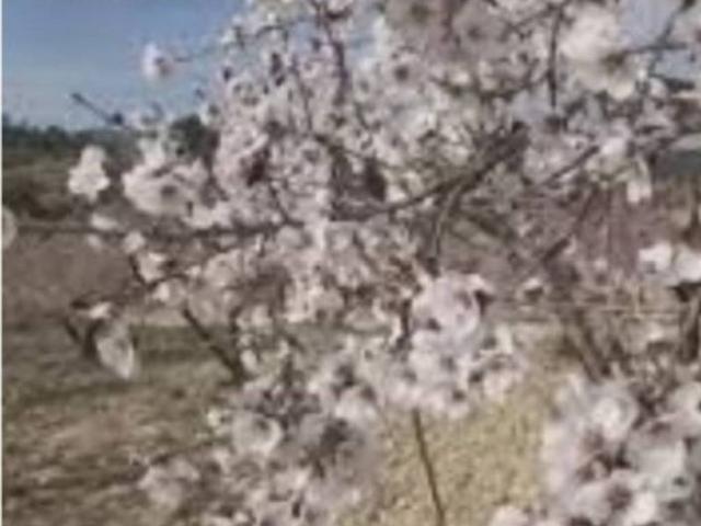 Terreno en venta en Férez, Castilla-La Mancha