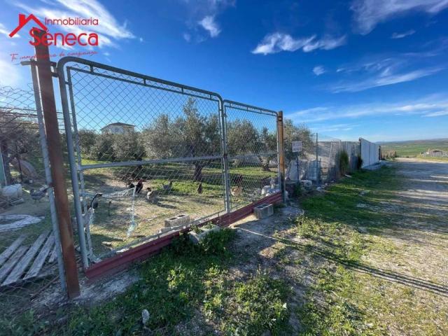 Terreno en venta en Fernán-núñez, Andalucía
