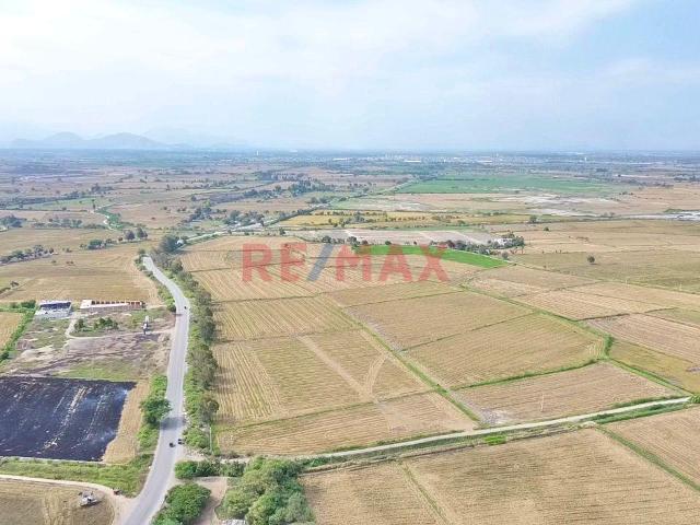 Terreno venta en Pueblo Nuevo, Lambayeque