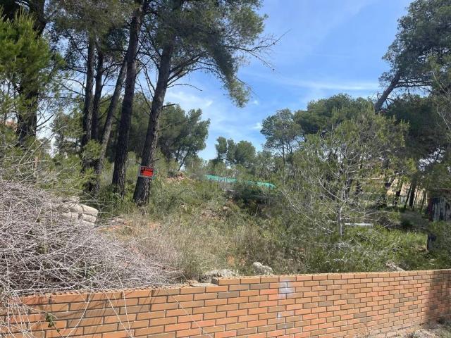 Terreno en venta en Figuerola Del Camp