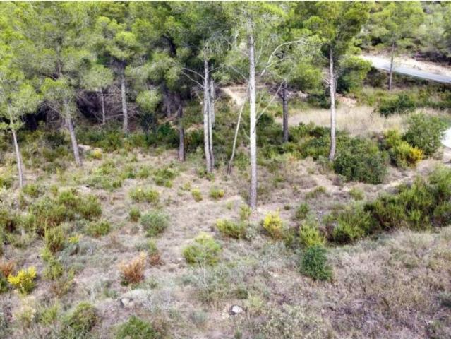 Terreno en venta en la Marina Baixa, Valencia