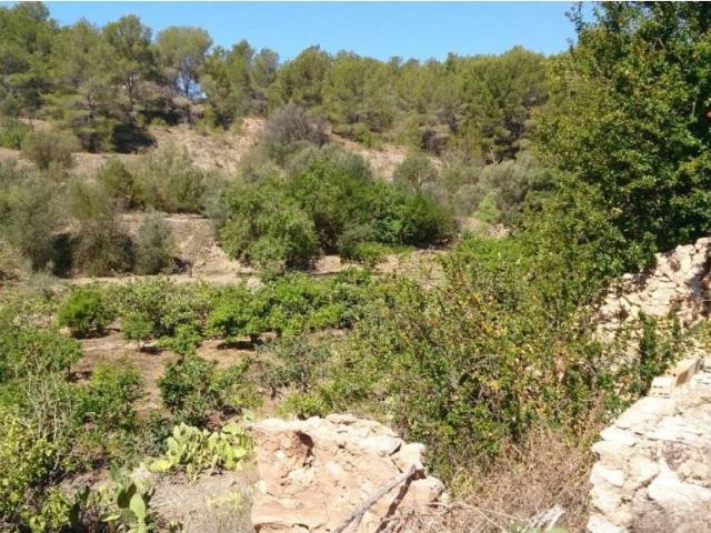 Terreno en venta en la Marina Baixa, Valencia