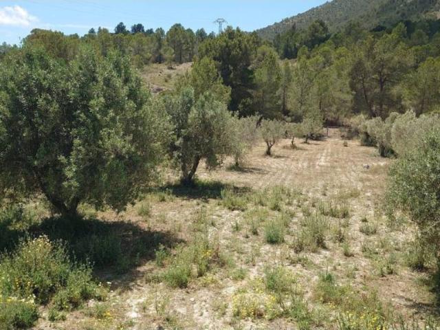 Terreno en venta en la Marina Baixa, Valencia
