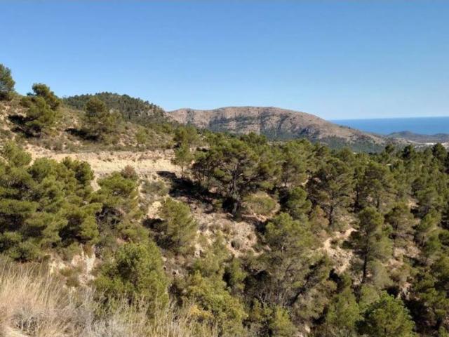 Terreno en venta en la Marina Baixa, Valencia