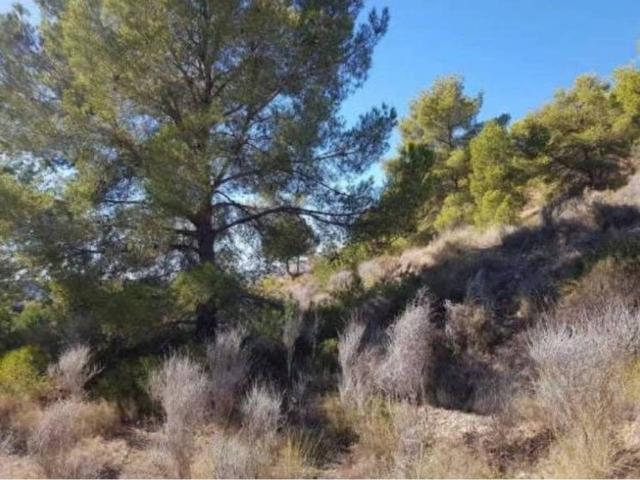 Terreno en venta en la Marina Baixa, Valencia