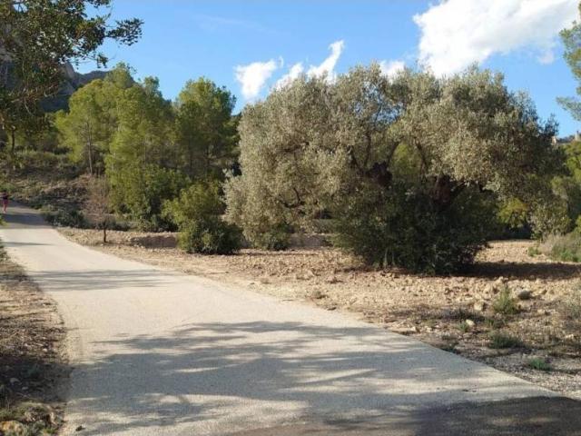 Terreno en venta en la Marina Baixa, Valencia