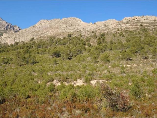 Terreno en venta en la Marina Baixa, Valencia