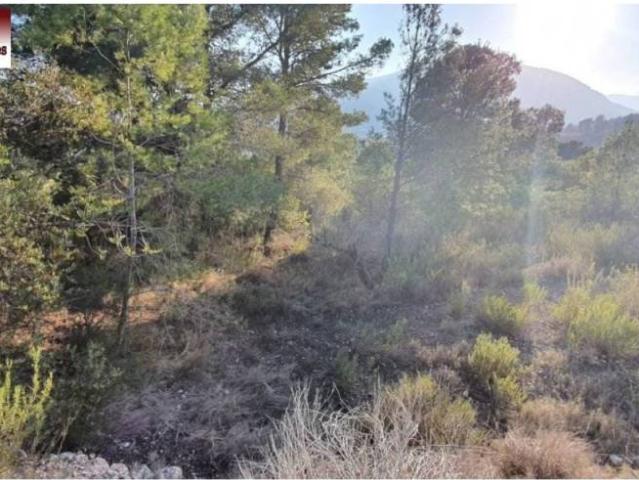 Terreno en venta en la Marina Baixa, Valencia
