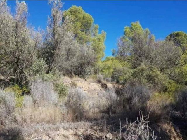Terreno en venta en la Marina Baixa, Valencia