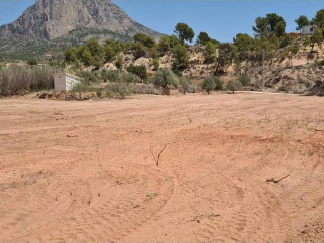 Terreno en venta en la Marina Baixa, Valencia