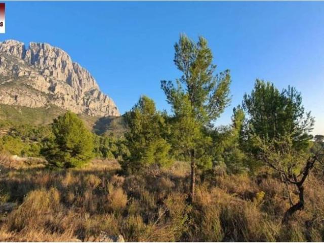 Terreno en venta en la Marina Baixa, Valencia