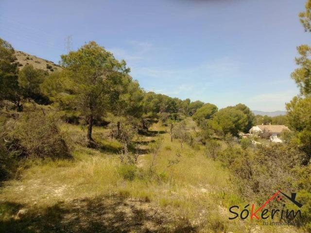 Terreno en venta en la Marina Baixa, Valencia