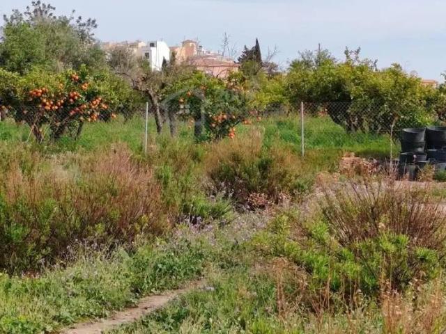 Terreno en venta en la Marina Baixa, Valencia