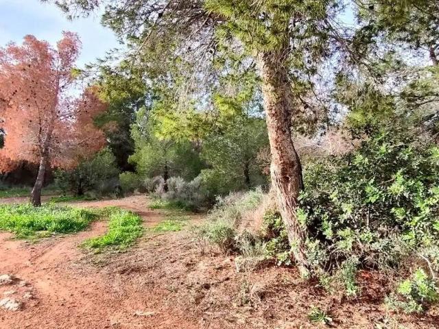 Terreno en venta en la Marina Baixa, Valencia