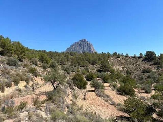 Terreno en venta en la Marina Baixa, Valencia