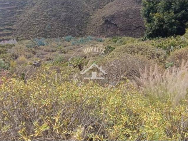 Terreno en venta en Firgas, Canarias
