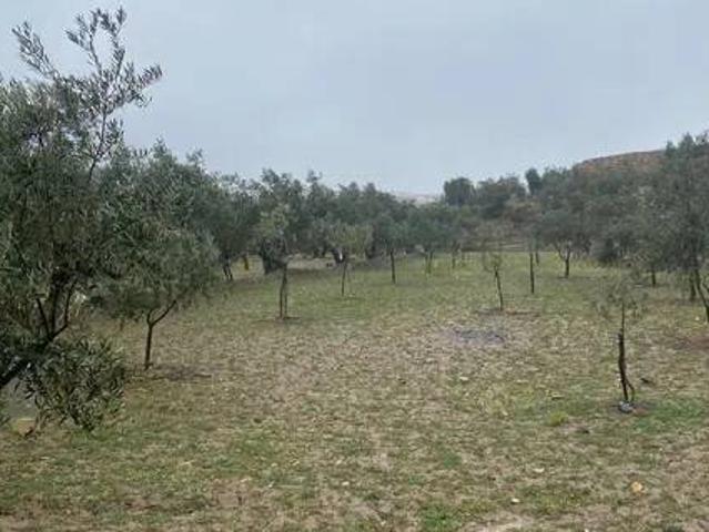 Terreno en venta en Fiñana, Andalucía