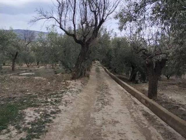 Terreno en venta en Fiñana, Andalucía