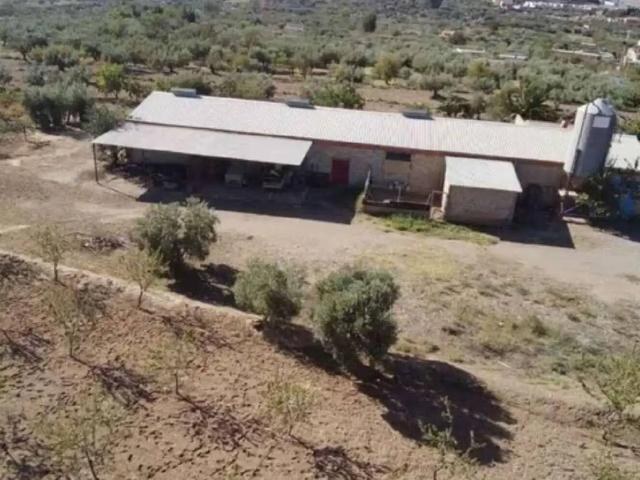 Terreno en venta en Fiñana, Andalucía