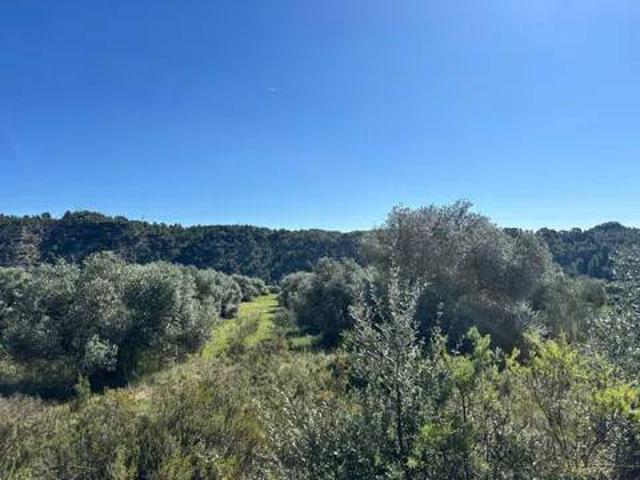 Terreno en venta en Ribera d'Ebre, Catalunya