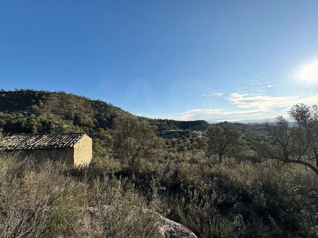 Terreno en venta en Ribera d'Ebre, Catalunya
