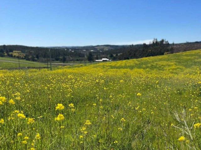 Terreno en venta en Concepción, Biobío