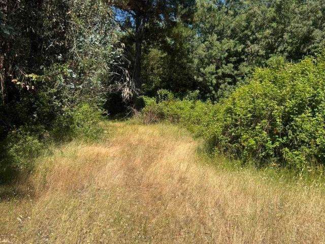 Terreno en venta en Concepción, Biobío