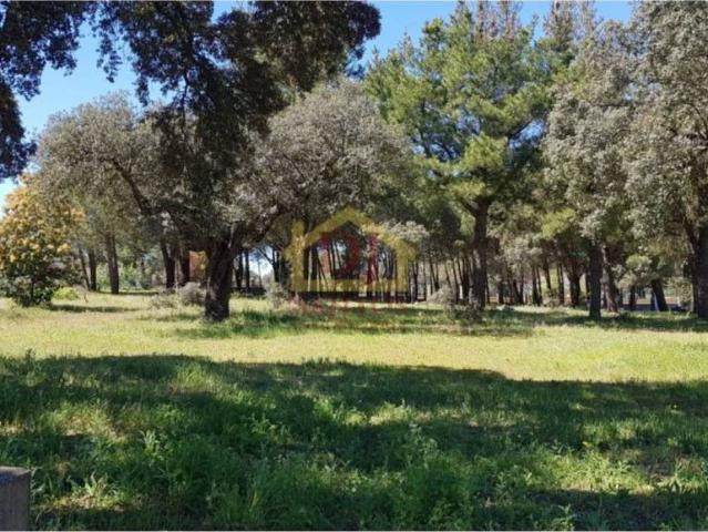 Terreno en venta en Florida De Liébana, Castilla y León