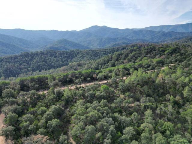 Terreno en venta en la Selva, Catalunya