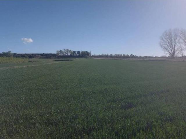 Terreno en venta en Pla d'Urgell, Catalunya