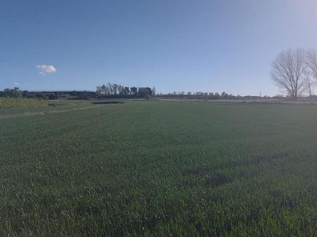Terreno en venta en Pla d'Urgell, Catalunya