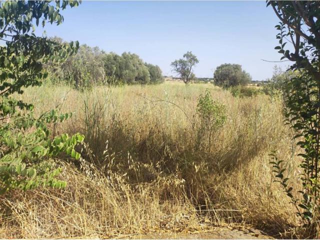 Terreno en venta en Cinca Medio, Aragón