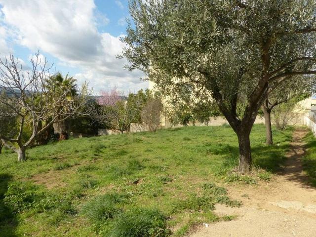 Terreno en venta en Forallac