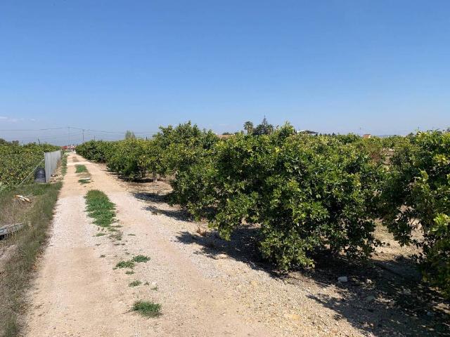 Terreno en venta en Formentera Del Segura
