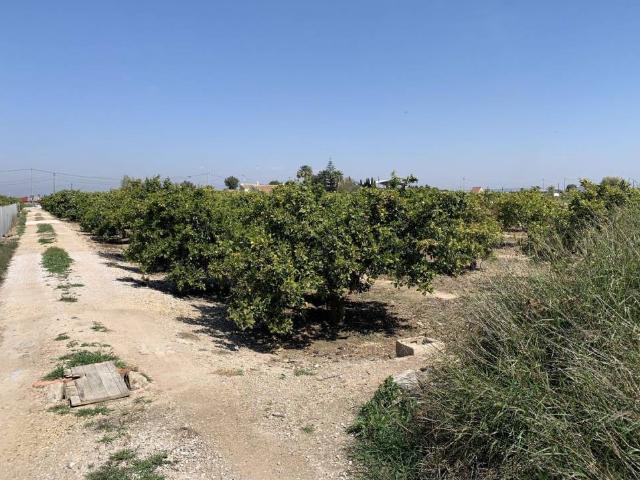 Terreno en venta en Formentera Del Segura