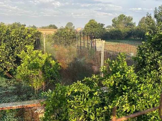 Terreno en venta en el Baix Segura / La Vega Baja, Valencia
