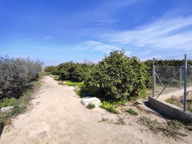 Terreno en venta en el Baix Segura / La Vega Baja, Valencia