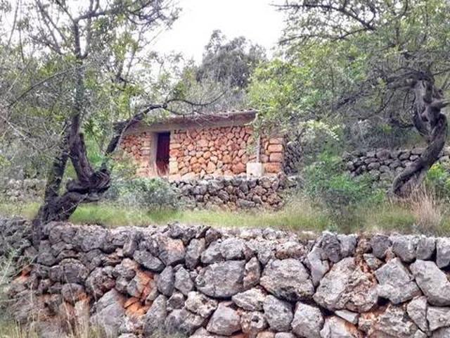 Terreno en venta en Serra de Tramuntana, Baleares