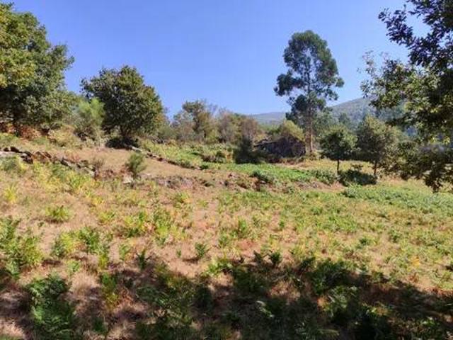 Terreno en venta en Fornelos de Montes, Vigo
