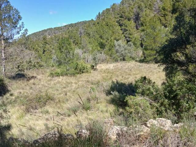 Terreno en venta en Matarraña / Matarranya, Fórnoles