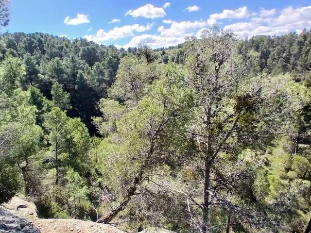 Terreno en venta en Matarraña / Matarranya, Fórnoles