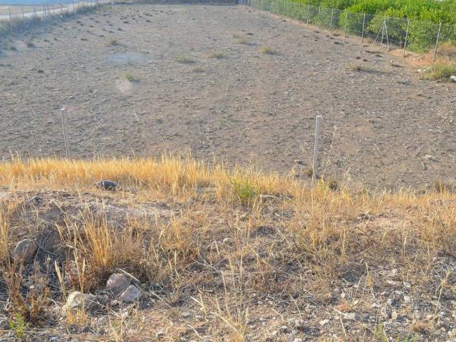 Terreno en venta en Oriental, Murcia