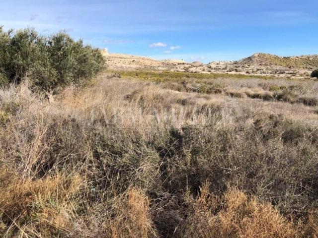 Terreno en venta en Oriental, Murcia