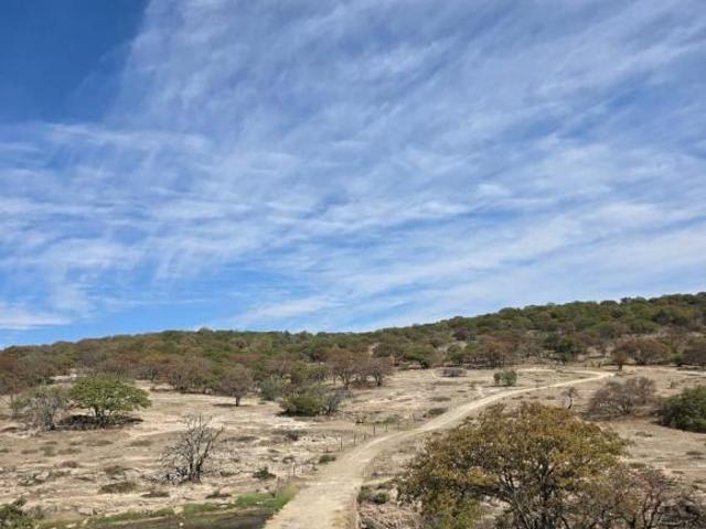 Terreno en venta en San Felipe, Guanajuato