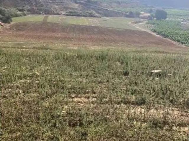 Terreno en venta en Bajo Cinca / Baix Cinca, Aragón