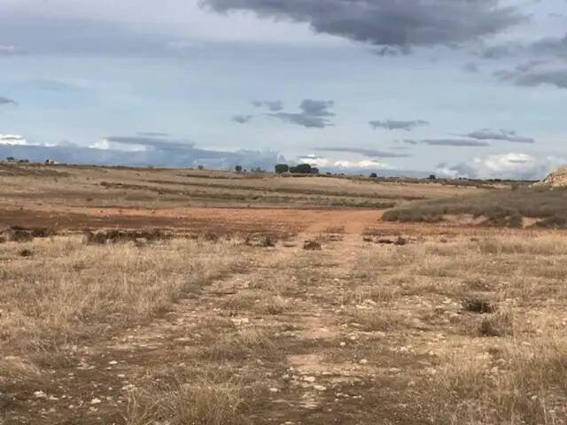 Terreno en venta en Bajo Cinca / Baix Cinca, Aragón