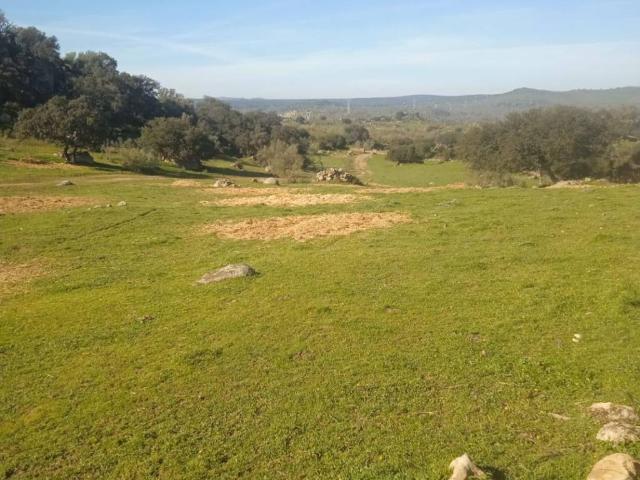Terreno en venta en Fregenal De La Sierra