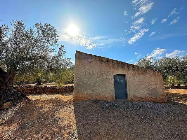 Terreno en venta en Montsià, Catalunya